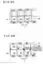 Fig. 07 - Select control system for a vehicle transmission