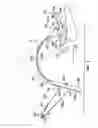 Fig. 04 - Abdominal and hamstring muscle strength conditioning device