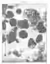 Fig. 04 - Controlled release agricultural products and processes for making same
