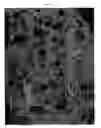 Fig. 05 - Controlled release agricultural products and processes for making same