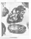 Fig. 06 - Controlled release agricultural products and processes for making same