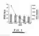 Fig. 02 - Treatment of inflammatory conditions