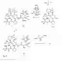Fig. 03 - Antibacterial macrocycles