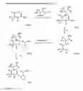 Fig. 04 - Antibacterial macrocycles