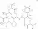 Fig. 05 - Antibacterial macrocycles