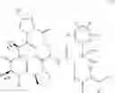 Fig. 14 - Antibacterial macrocycles