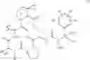 Fig. 18 - Antibacterial macrocycles