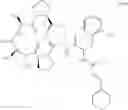 Fig. 207 - Antibacterial macrocycles