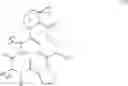 Fig. 22 - Antibacterial macrocycles