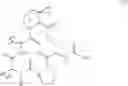 Fig. 24 - Antibacterial macrocycles