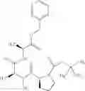 Fig. 47 - Antibacterial macrocycles