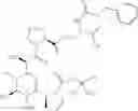 Fig. 50 - Antibacterial macrocycles