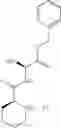 Fig. 62 - Antibacterial macrocycles