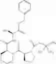 Fig. 63 - Antibacterial macrocycles
