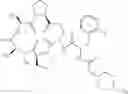 Fig. 98 - Antibacterial macrocycles