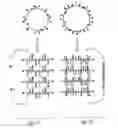 Fig. 08 - Anti-microbial peptides and compositions