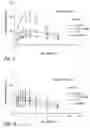 Fig. 04 - Compositions and methods for treating or preventing diseases of body passageways