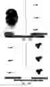 Fig. 68 - Compositions and methods for treating or preventing diseases of body passageways