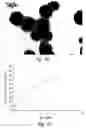 Fig. 76 - Compositions and methods for treating or preventing diseases of body passageways