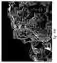 Fig. 84 - Compositions and methods for treating or preventing diseases of body passageways