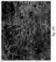 Fig. 86 - Compositions and methods for treating or preventing diseases of body passageways