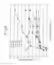 Fig. 06 - Pharmaceutical component based on human parathyroid hormone and a pharmaceutical composition for intranasal administration comprising the component