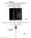 Fig. 07 - Novel protein capable of inhibiting anthrax toxin activity