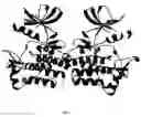 Fig. 02 - Crystals and structures of c-Abl tyrosine kinase domain