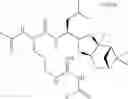 Fig. 110 - Proteasome inhibitors and methods of using the same