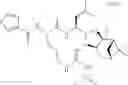 Fig. 152 - Proteasome inhibitors and methods of using the same