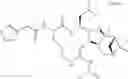 Fig. 153 - Proteasome inhibitors and methods of using the same