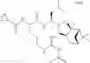 Fig. 191 - Proteasome inhibitors and methods of using the same