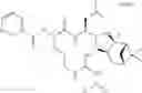 Fig. 208 - Proteasome inhibitors and methods of using the same