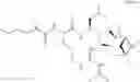 Fig. 267 - Proteasome inhibitors and methods of using the same