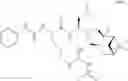 Fig. 304 - Proteasome inhibitors and methods of using the same