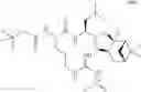 Fig. 328 - Proteasome inhibitors and methods of using the same