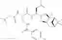 Fig. 44 - Proteasome inhibitors and methods of using the same