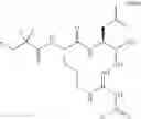 Fig. 511 - Proteasome inhibitors and methods of using the same