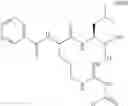 Fig. 538 - Proteasome inhibitors and methods of using the same