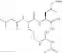 Fig. 557 - Proteasome inhibitors and methods of using the same