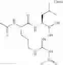 Fig. 559 - Proteasome inhibitors and methods of using the same