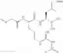 Fig. 562 - Proteasome inhibitors and methods of using the same