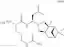 Fig. 60 - Proteasome inhibitors and methods of using the same