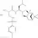 Fig. 65 - Proteasome inhibitors and methods of using the same