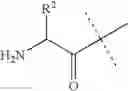 Fig. 04 - Nucleoside compounds for treating viral infections
