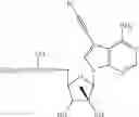 Fig. 08 - Nucleoside compounds for treating viral infections