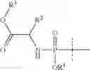 Fig. 40 - Nucleoside compounds for treating viral infections