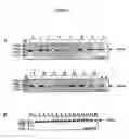Fig. 03 - Tumour suppressor gene