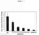 Fig. 12 - Tumour suppressor gene