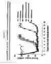 Fig. 20 - CD200 receptors